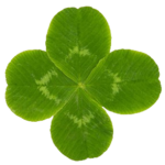 green 4 leaf clover png